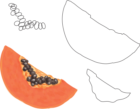Molde de Mamão Papaya para EVA - Feltro e Artesanatos1.1
