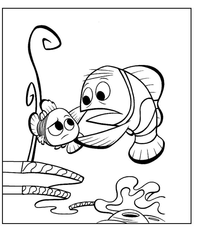 Desenhos para Colorir Procurando Nemo 13