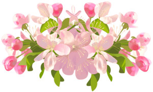Flores - Flor Bonita 2 