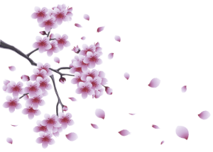 Flores - Flor Bonita Lilás 