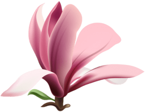 Flores - Flor Bonita Rosa 11 