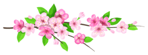 Flores - Flor Bonita Rosa 9 
