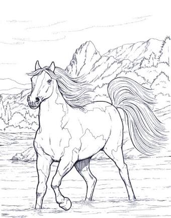 Desenhos de cavalos para colorir para crianças. imprima-os online