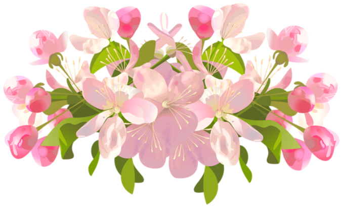 Flores - Flor Bonita 2