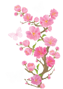 Flores - Flor Bonita Rosa 18 