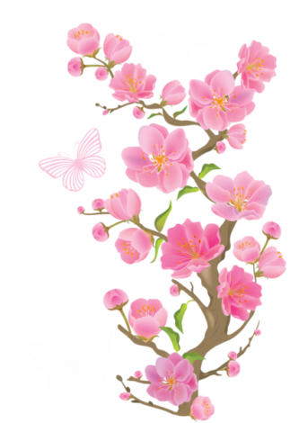 Flores - Flor Bonita Rosa 18