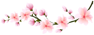 Flores - Flor Bonita Rosa 5 