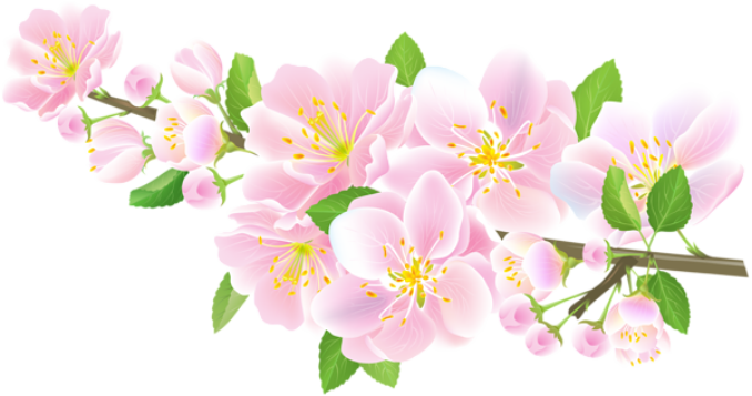 Flores - Flor Bonita Rosa 6