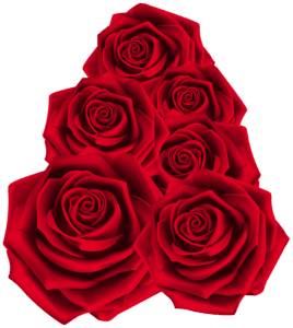 Flores - Rosa Vermelha 2 