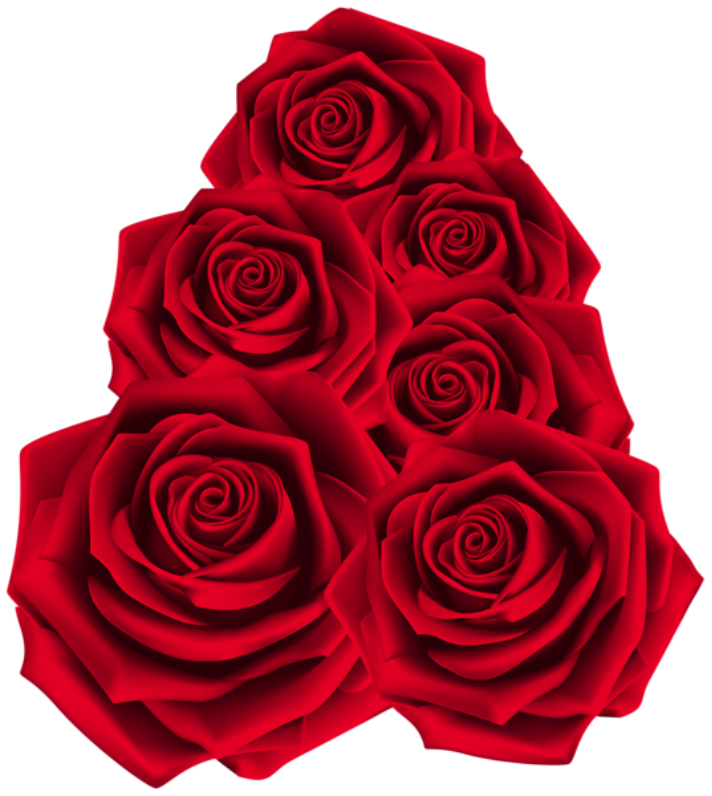 Flores - Rosa Vermelha 2