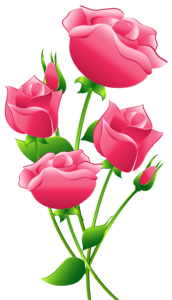 Flores - Rosa cor de Rosa 6