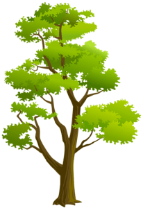 Árvores - Árvore 4 