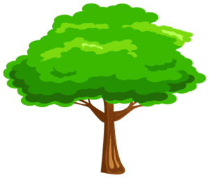 Árvores - Árvore 6 