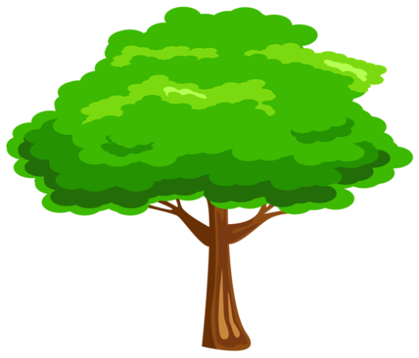Árvores - Árvore 6