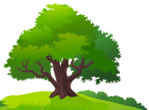 Árvores - Árvore 7 