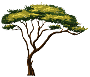 Árvores - Árvore 9 