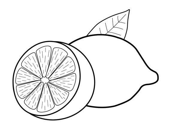 Lima Sketch Coloring Page