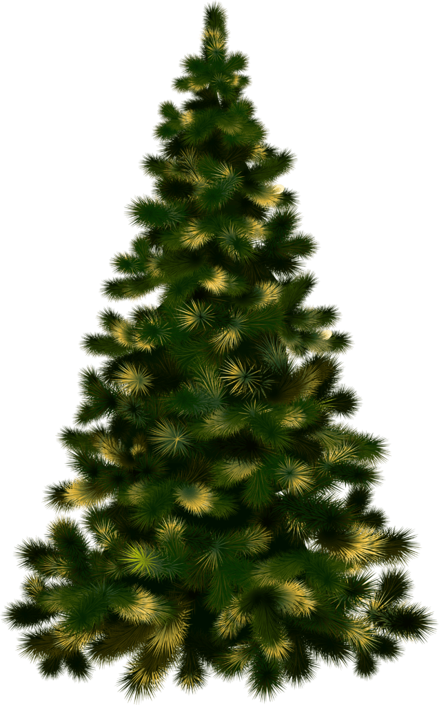 Arquivos desenho árvore de natal vetor png -