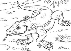Desenho de Dragão de Komodo na selva para colorir