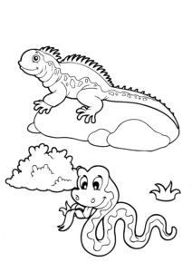 Desenho de Iguana e cobra para colorir
