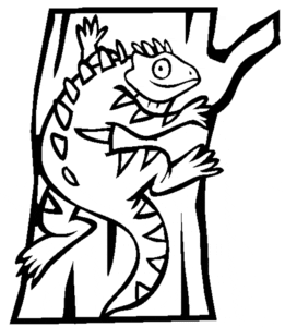 Desenho de Iguana para colorir e imprimir
