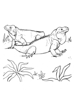 Desenho de Iguanas no parque para colorir