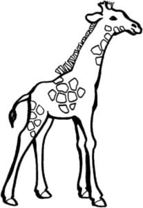 Desenho para Colorir de Girafa