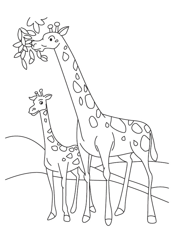 Girafa para Pintar - Desenho para Colorir e Imprimir de Girafa