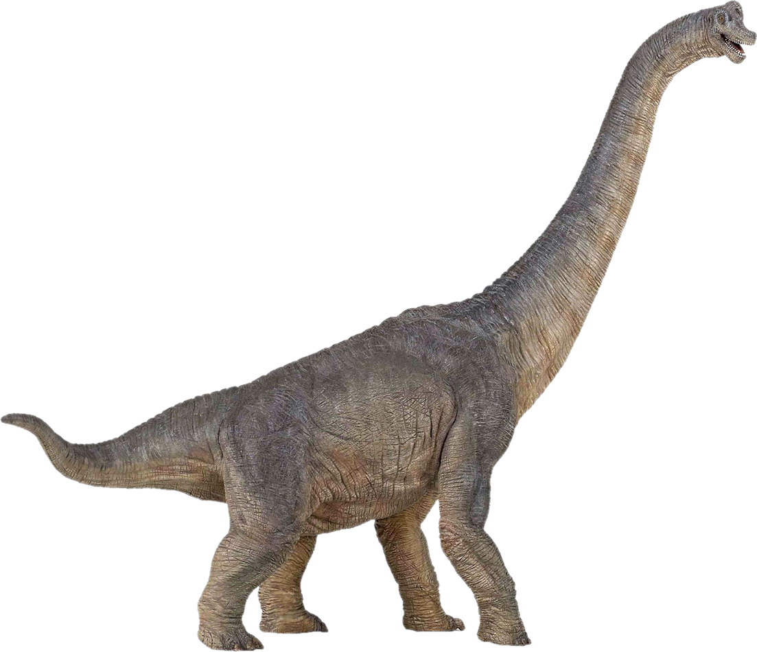 Dinossauro PNG Transparente - 32 imagens dinossauro PNG