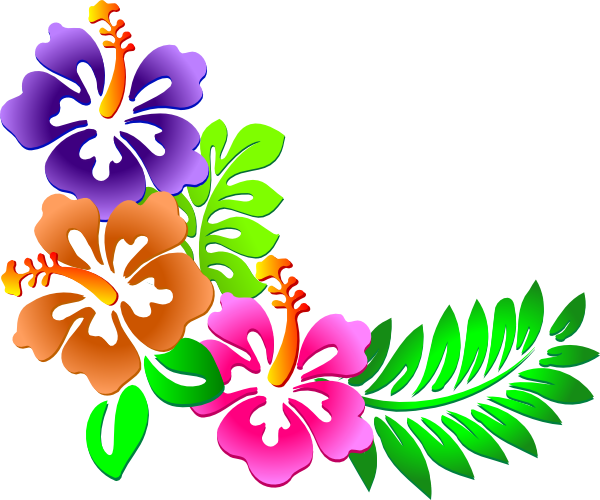 Flor - Hawaii Flor PNG - Cartoon Flor PNG GRÁTIS!