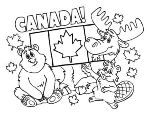 Desenho de Animais do Canadá para colorir e imprimir