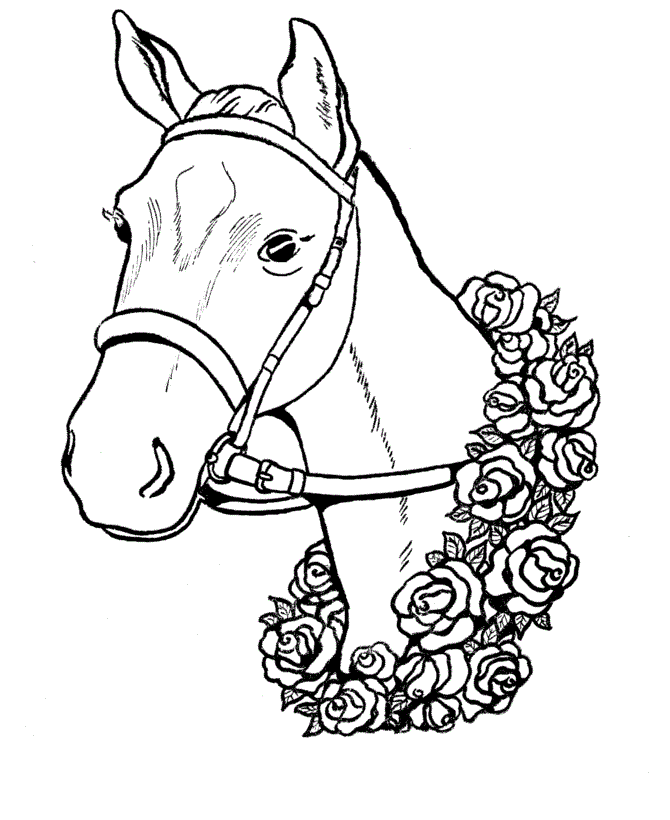 Featured image of post Imagem De Cavalo Para Colorir Colorir desenhos um cavalo passo a passo l cd kawaii como desenhar e colorir animais