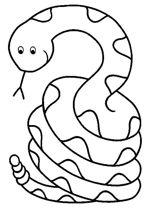 Desenho de Cobra para colorir – Imagem e Molde e para imprimir
