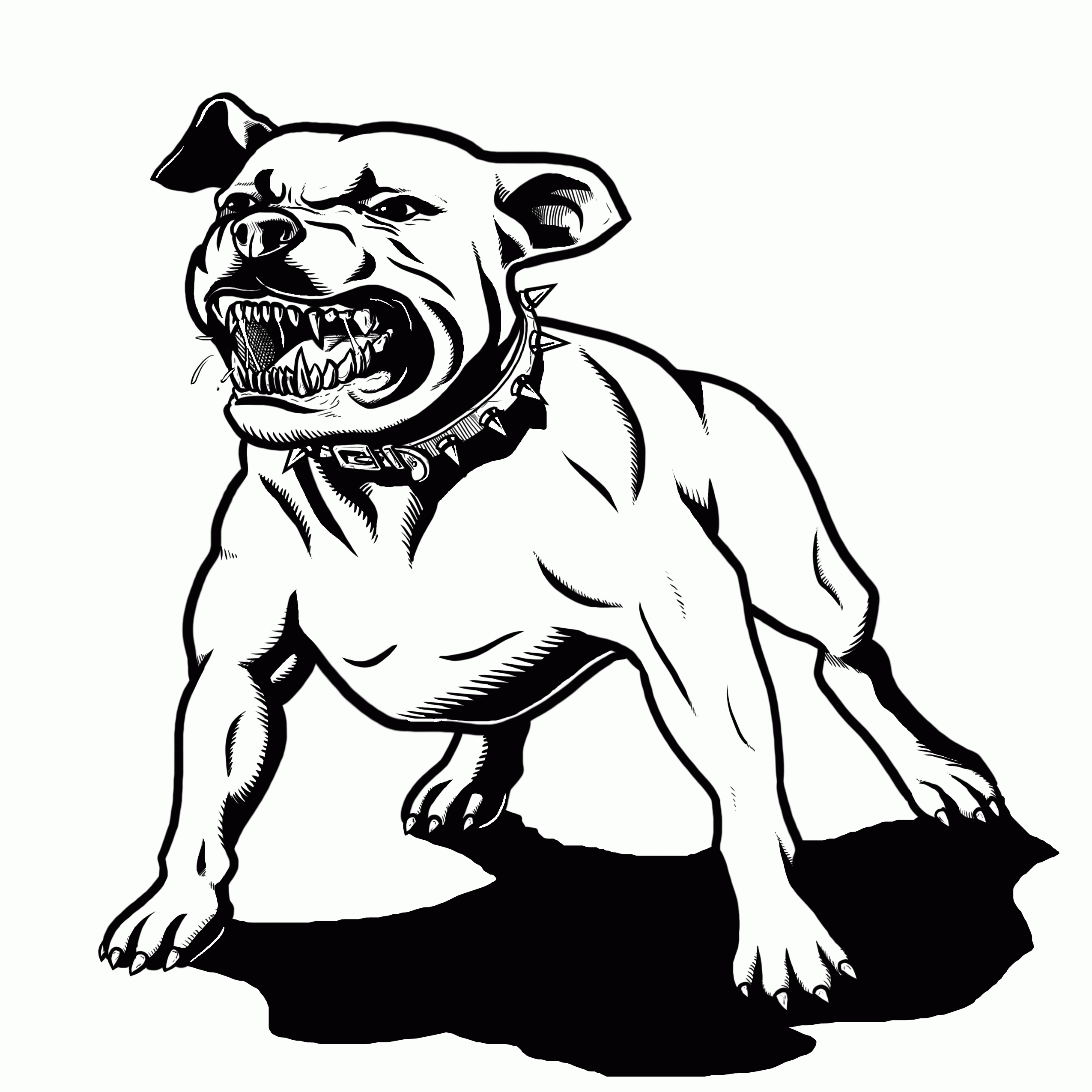 Desenho de Pitbull Bravo para colorir e imprimir