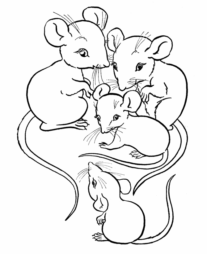 Desenhos para colorir e imprimir de família de ratos