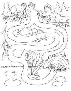 Desenho de Toca do castor para colorir e imprimir