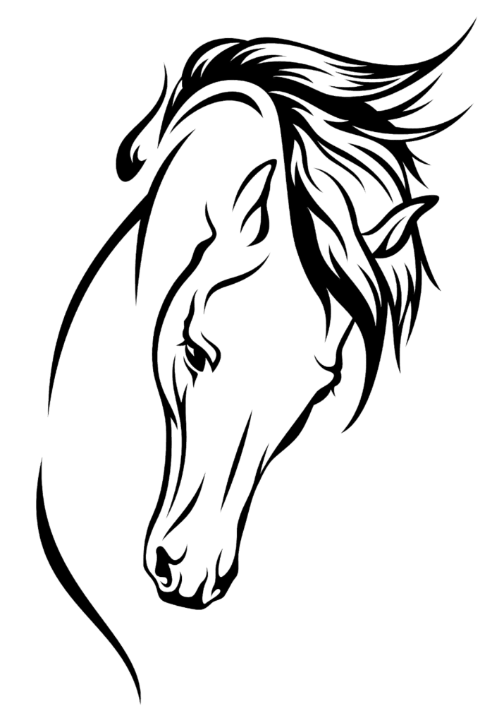 Imagens Desenho De Cavalo PNG e Vetor, com Fundo Transparente Para Download  Grátis