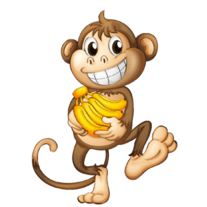 Macaco PNG