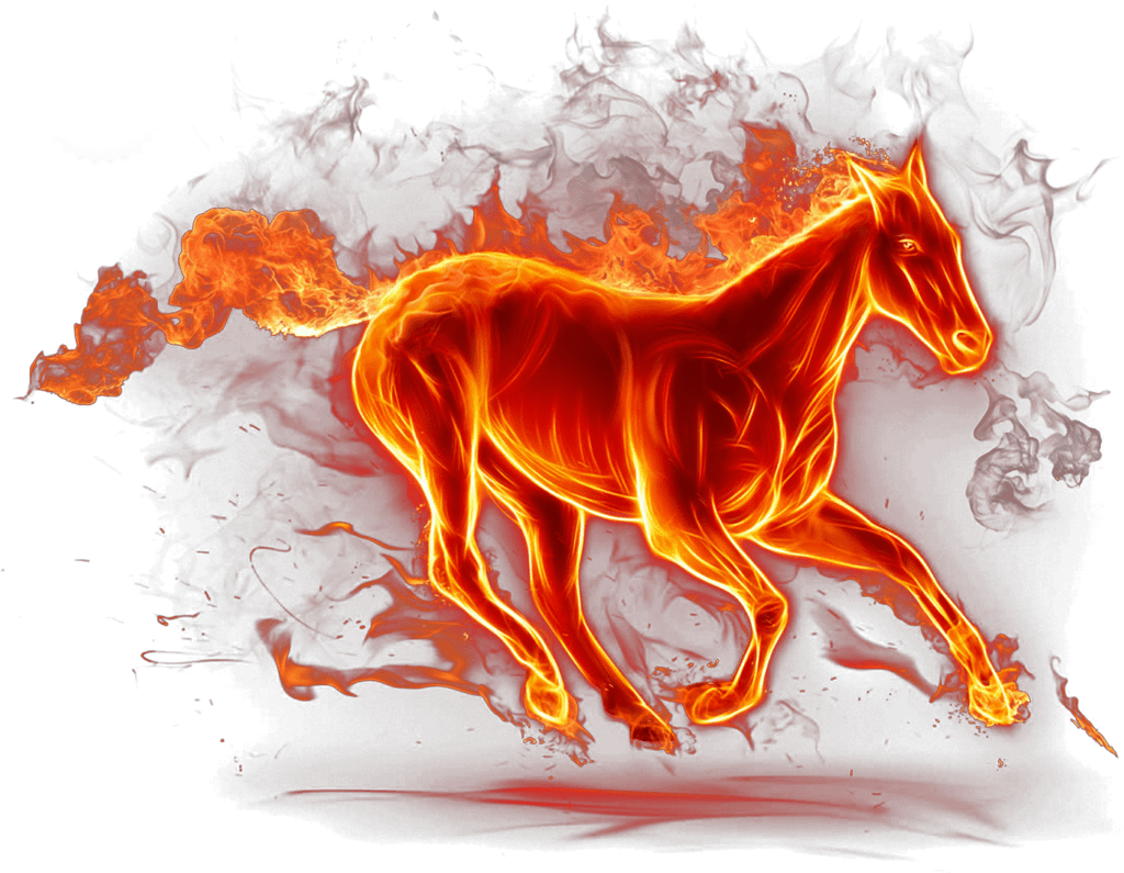 Imagens Desenho De Cavalo PNG e Vetor, com Fundo Transparente Para