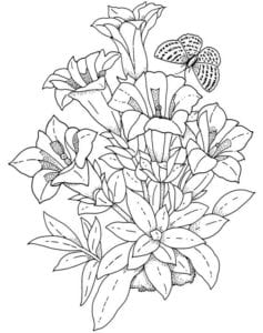 Desenho para colorir de Arranjo de flores