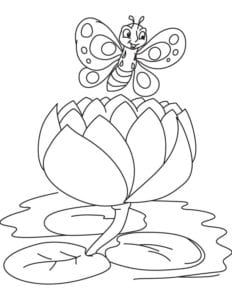 Desenho para colorir de Borboleta posando no nenúfar