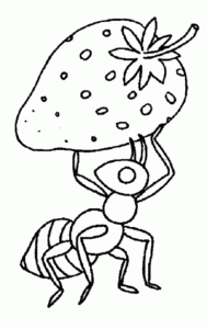 Desenho para colorir de Formiga carregando morango