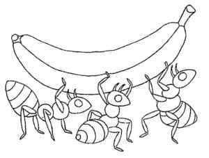 Desenho para colorir de Formigas carregando banana