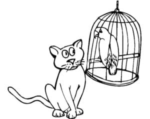 Desenho para colorir de Gato vendo pássaro na gaiola