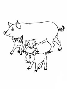 Desenho para colorir de Mamãe porca e leitãozinhos