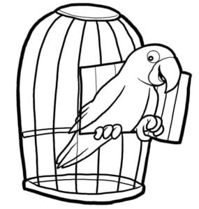 Desenho para colorir de Papagaio na janela da gaiola