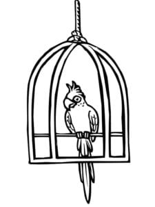 Desenho para colorir de Papagaio no poleiro da gaiola