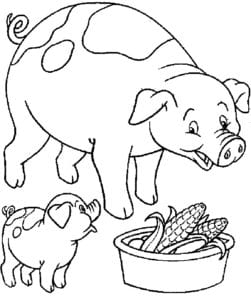 Desenho para colorir de Papai porco