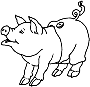 Desenho de Porco com bermudinha para colorir