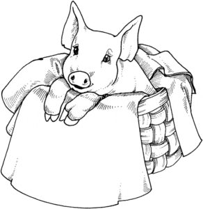 Desenho de Porco na cesta para colorir